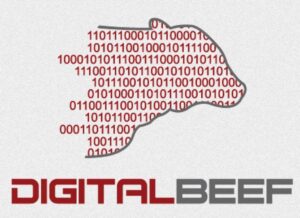 DigitalBeef