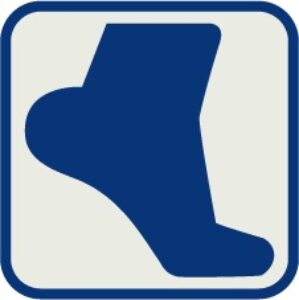 HealthFlow