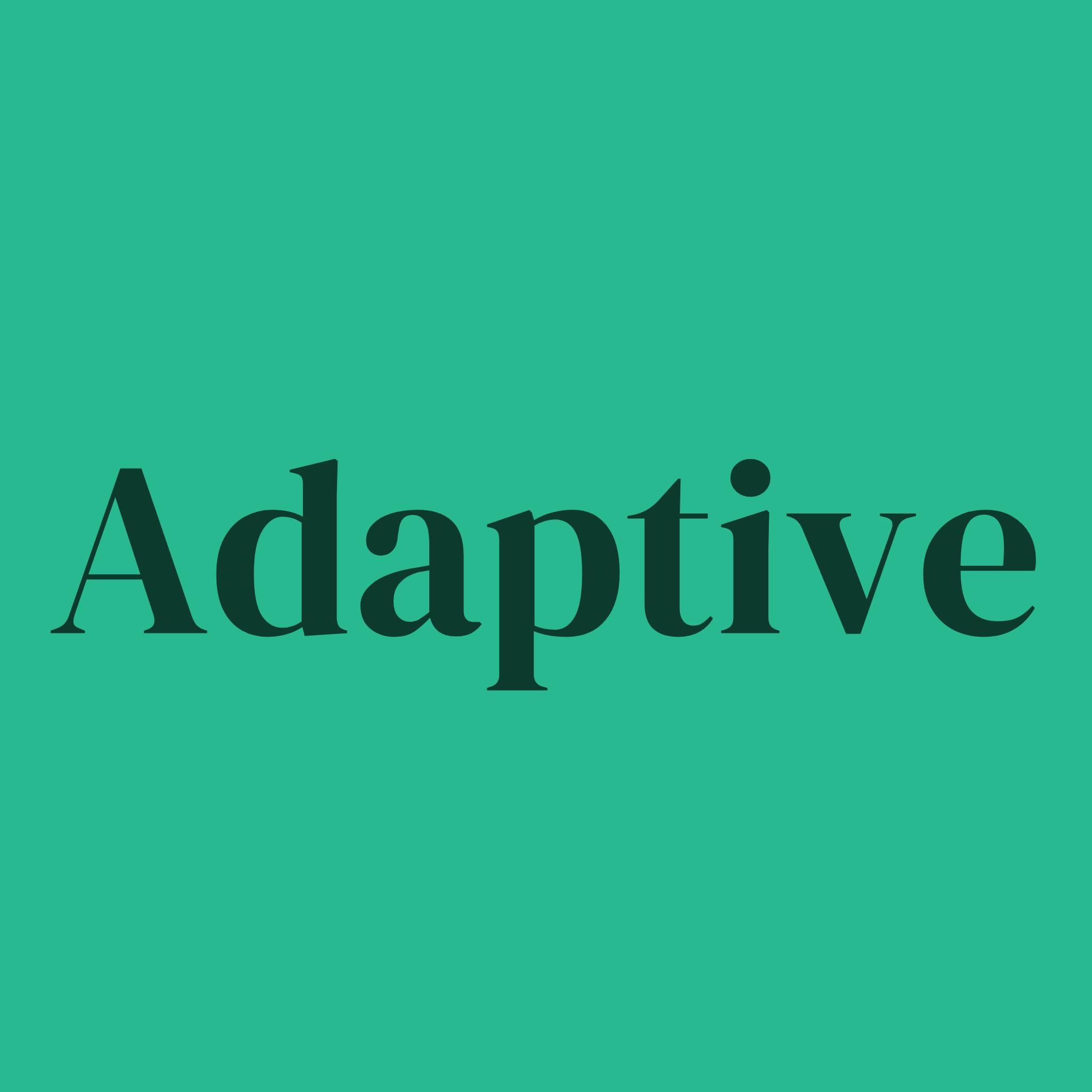 Adaptive - Smyte