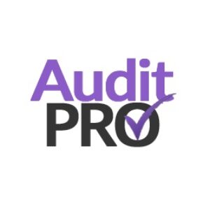 AuditPro