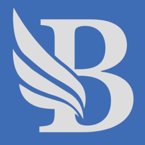 BidLight