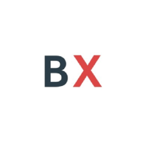 BridgingX
