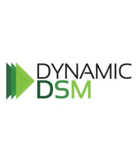Dynamic DSM