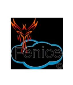 Fenice.fm