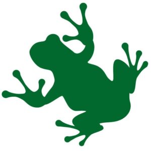 FlatFrog Board