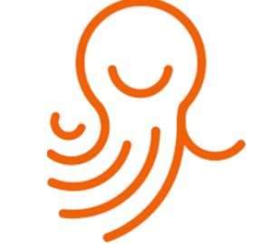Octerra