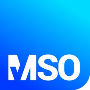 PMO-Tool by MSO