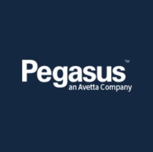 Pegasus.net