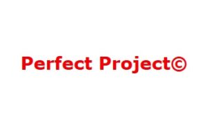 Perfect Project – Emque Systems Service