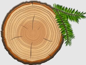 PineStem