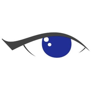 QuickEye Estimator