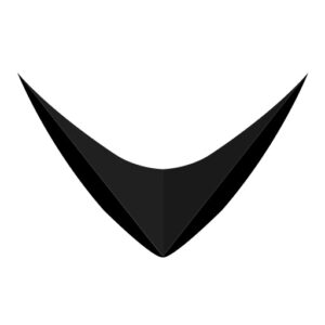 RAYVN