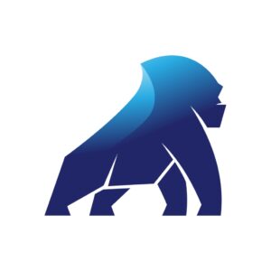 Silverback Systems
