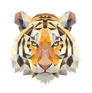 AssetTiger